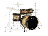 PDP Concept Maple 4PC LTD Shell Pack Mapa Burl 10 12 16 22