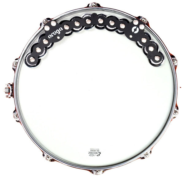 Oruga Caterpillar Jingles Medium